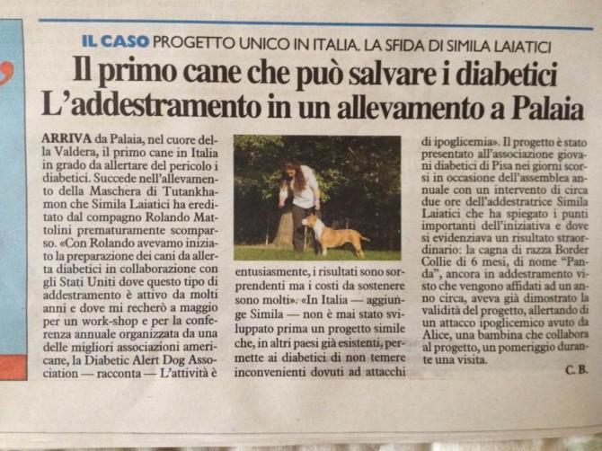 IN COSA CONSISTE IL PROGETTO - caniallertadiabetici.it